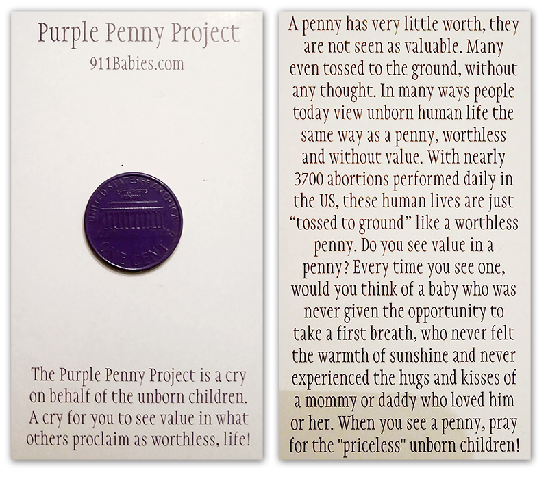 Purple Penny Project